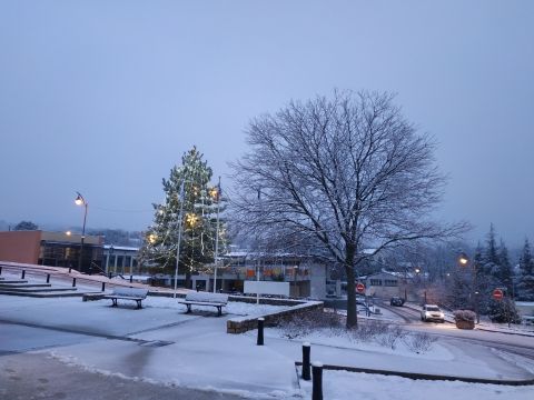 neige du 10122021 (1)