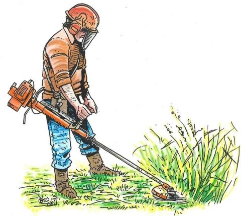 Débroussaillement obligatoire