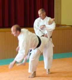SEF SHOTOKAN (Arts Martiaux)